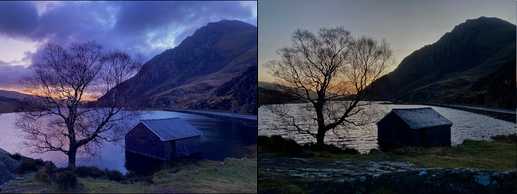 Dawn Both